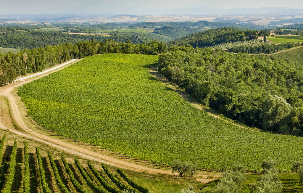 Ferienhaus - Greve in Chianti , Italien - ITC369 27