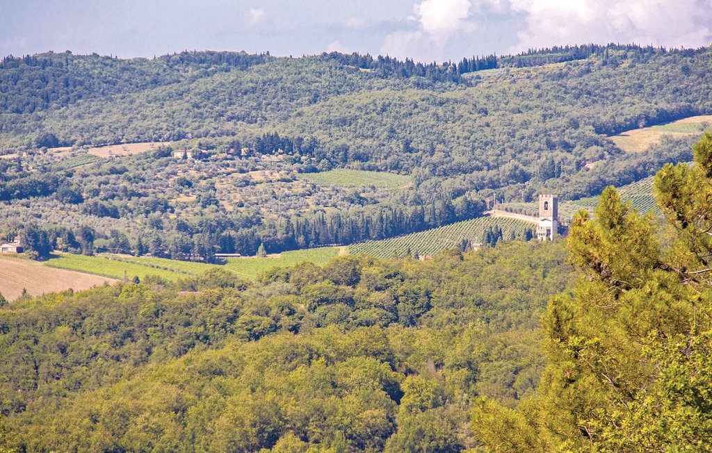 Semesterlägenhet - San Donato in Poggio , Italien - ITC617 17