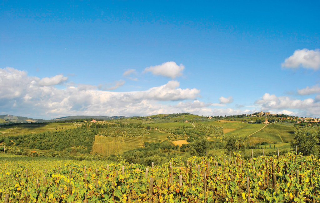 Semesterlägenhet - Greve in Chianti , Italien - ITC142 21