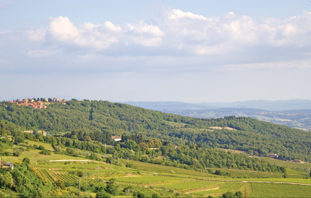 Feriehus - Castellina in Chianti , Italia - ITC801 25