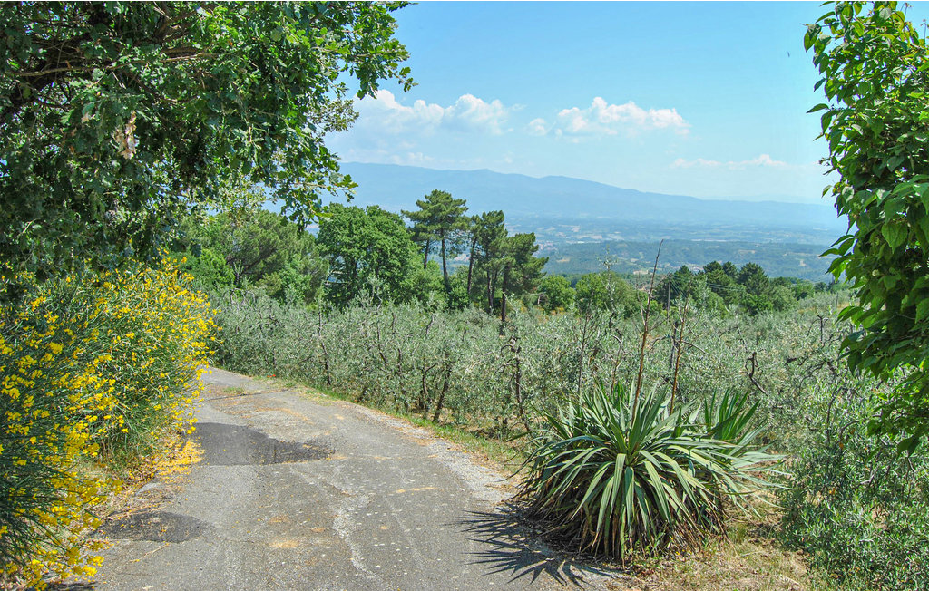 Feriehus - Montevarchi , Italia - ITC179 46