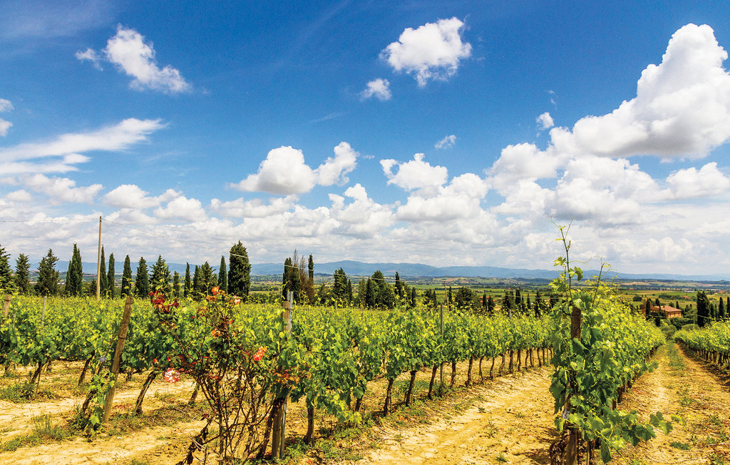 Semesterhus - Tavarnelle Val di Pesa , Italien - ITC958 27