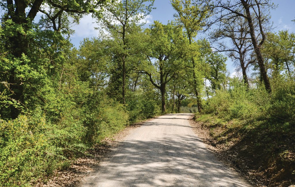 Ferienwohnung - Bucine , Italien - ITC317 20