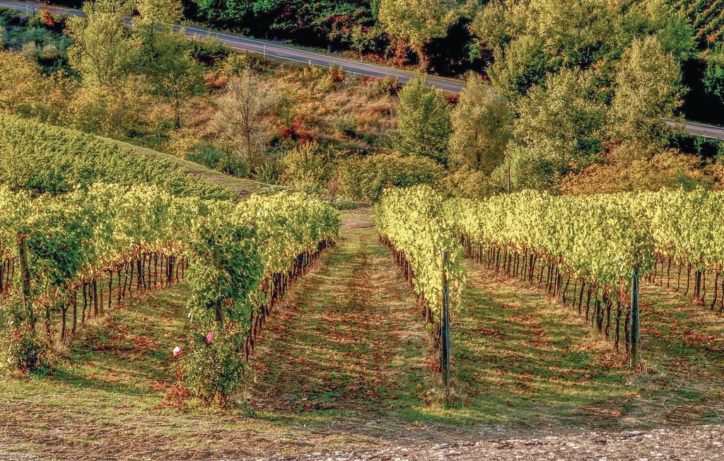 Ferienhaus - Gaiole in Chianti , Italien - ITC355 46