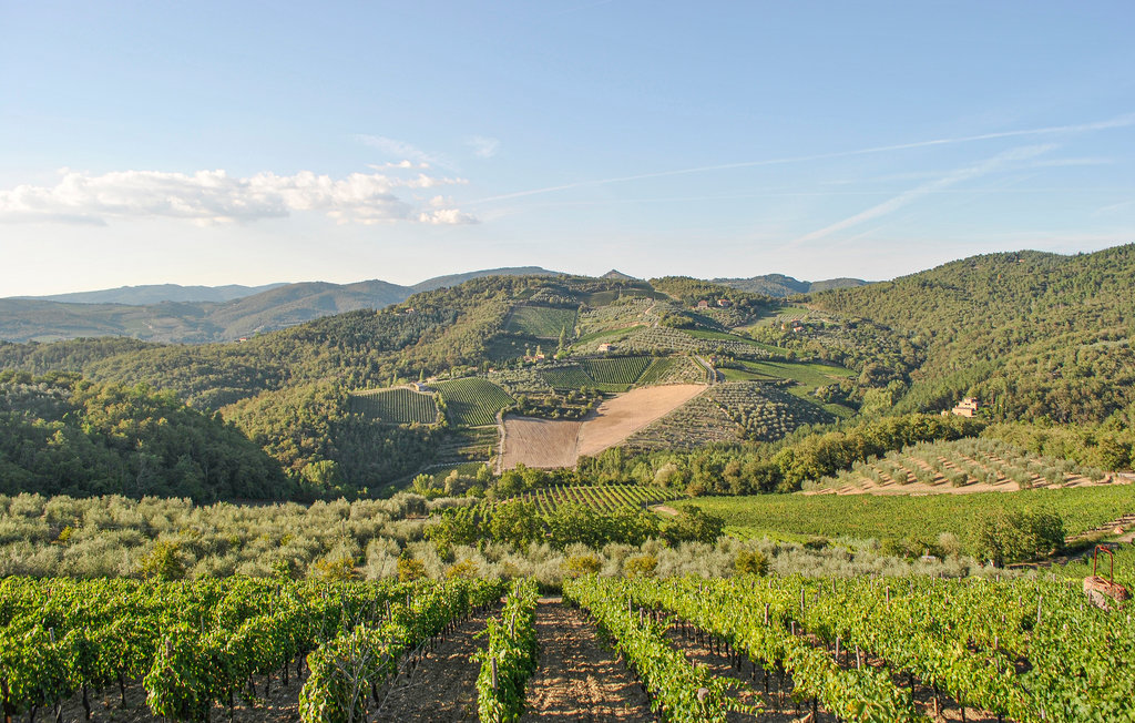 Ferienhaus - Greve in Chianti , Italien - ITC366 9