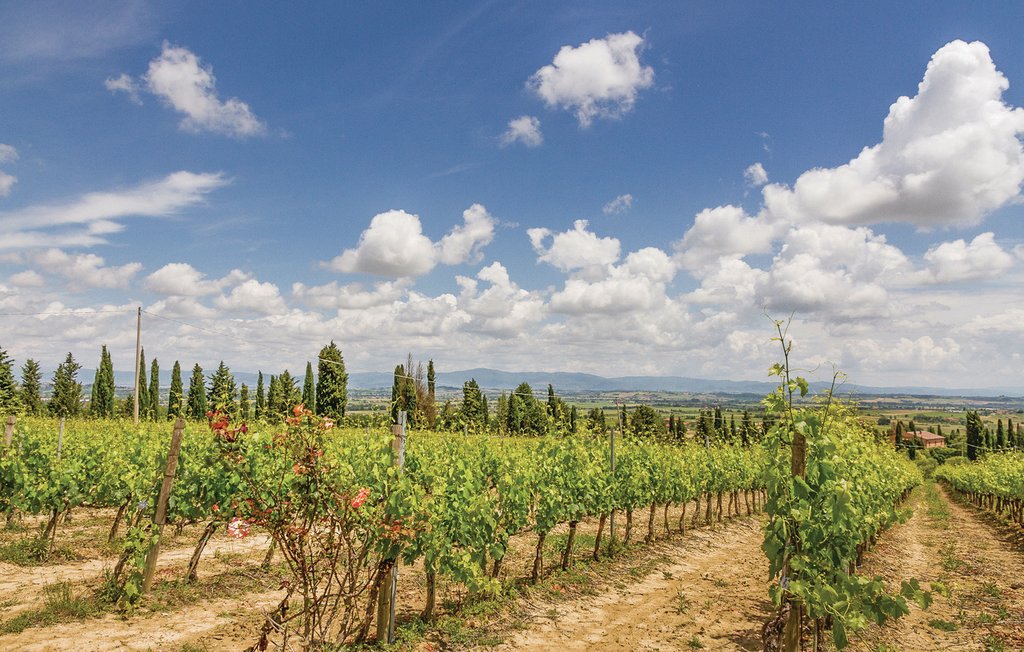 Ferienwohnung - San Donato in Poggio , Italien - ITC623 6