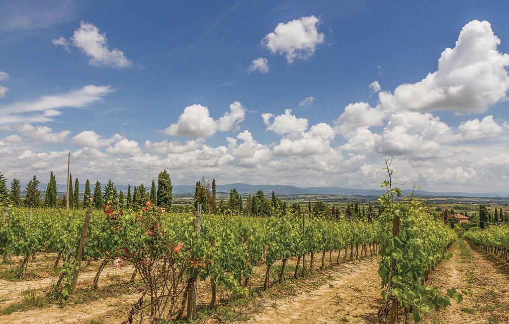Ferienwohnung - San Donato in Poggio , Italien - ITC631 25
