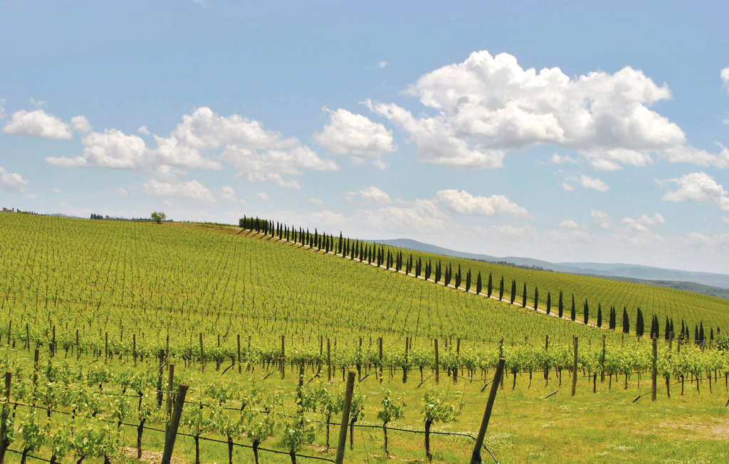 Semesterlägenhet - Montespertoli , Italien - ITC279 15