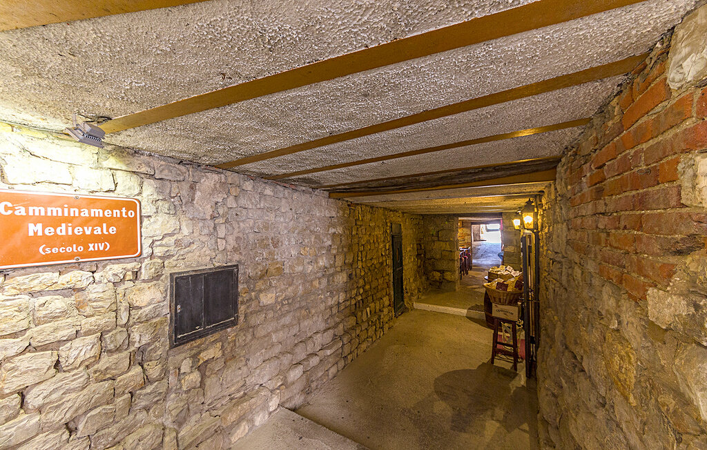 Semesterlägenhet - Panzano in Chianti , Italien - ITC003 14