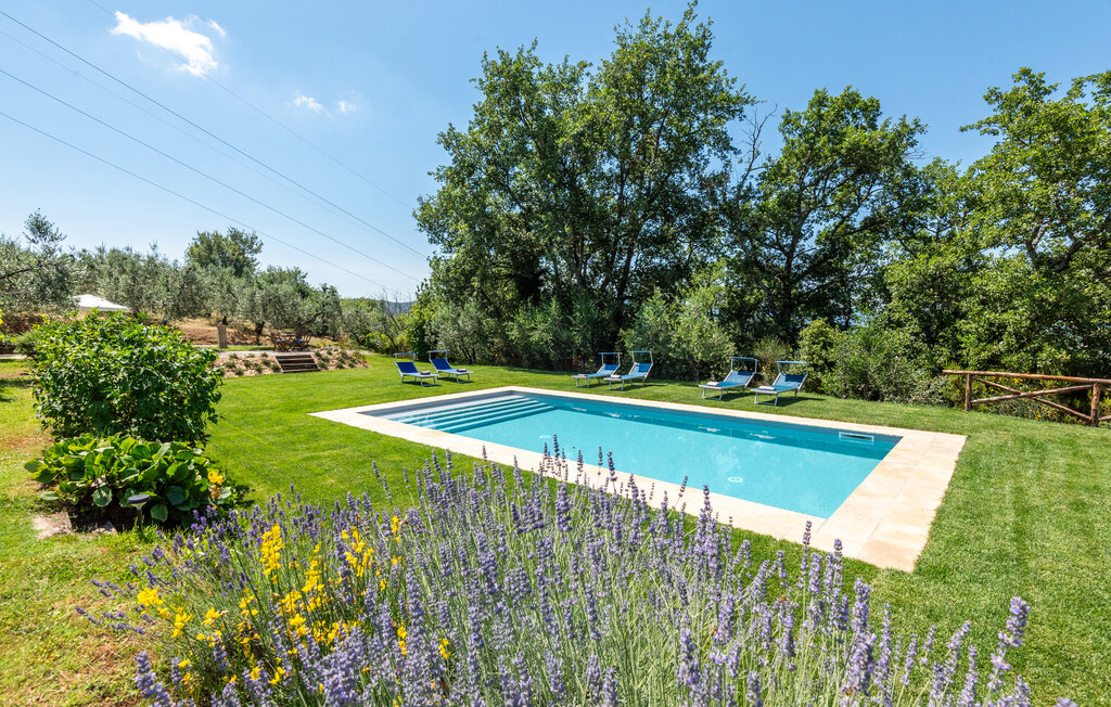 Feriehus - Montevarchi , Italia - ITC179 10