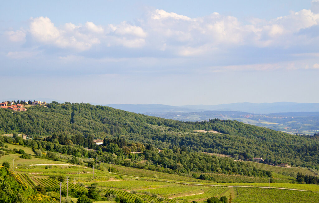 Semesterlägenhet - Greve in Chianti , Italien - ITC006 18
