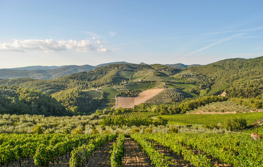 Semesterlägenhet - Greve in Chianti , Italien - ITC006 6