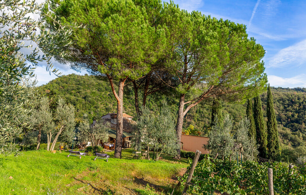 Ferienhaus - Greve in Chianti , Italien - ITC002 20