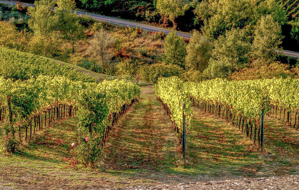 Ferienhaus - Greve in Chianti , Italien - ITC002 57