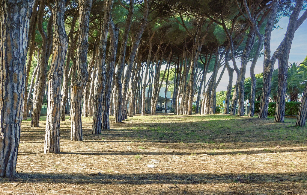 Ferienwohnung - Sarzana , Italien - ITD024 21