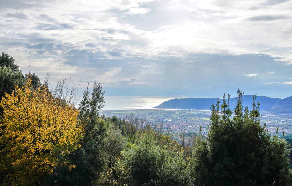 Ferienwohnung - Sarzana , Italien - ITD024 6