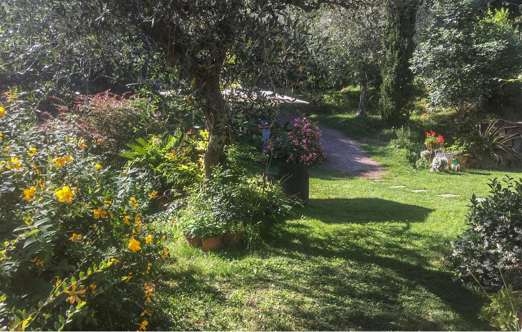 Domy wakacyjne - Camaiore , Włochy - ITD026 12