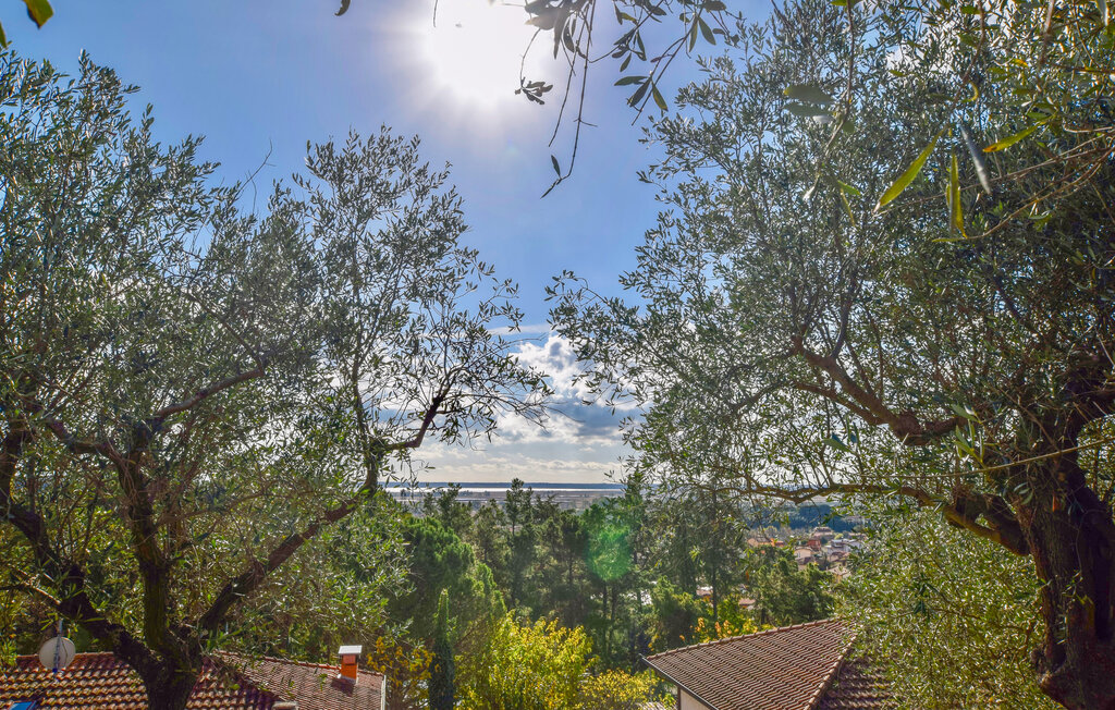 Ferienhaus - Massarosa , Italien - ITD062 8