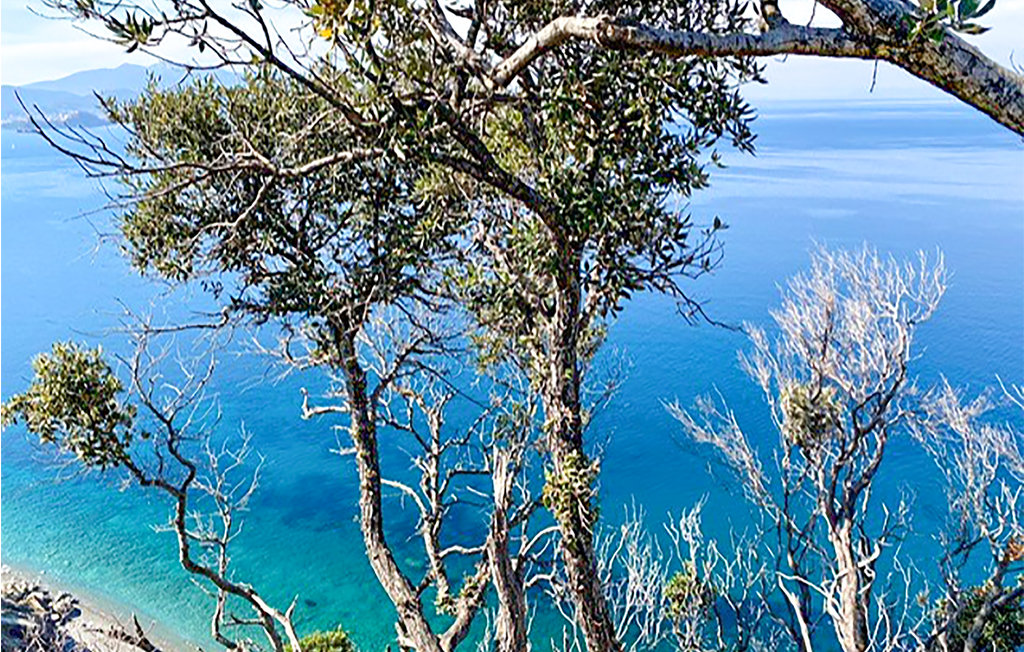 Ferienwohnung - Rio nell'Elba , Italien - ITE160 18