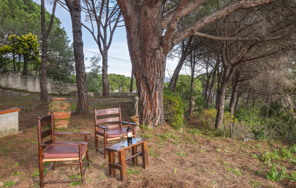 Ferienhaus - San Piero in Campo , Italien - ITE178 12