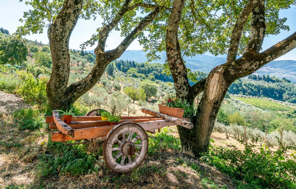 Ferienhaus - Pontassieve , Italien - ITF059 9