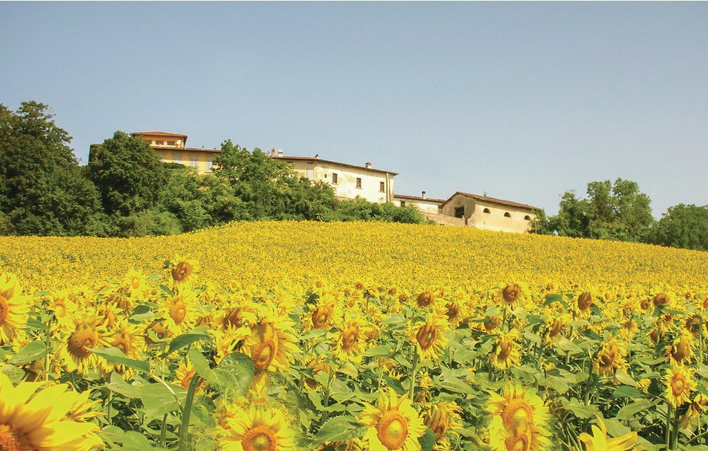 Semesterhus - Vicchio , Italien - ITF024 33