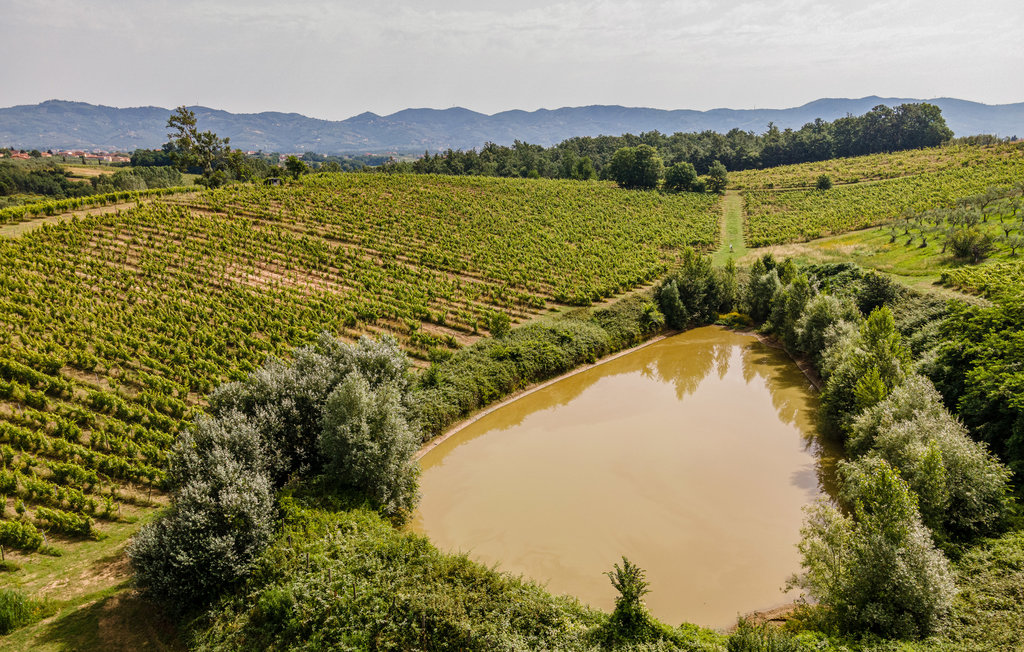 Ferienwohnung - Cerreto Guidi , Italien - ITF064 8