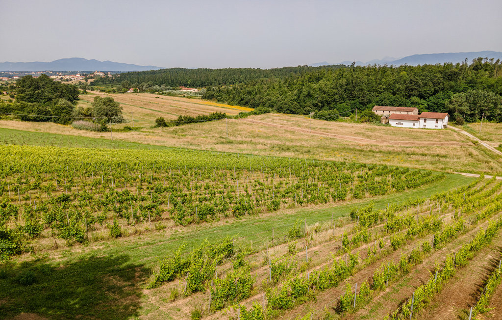Ferienwohnung - Cerreto Guidi , Italien - ITF064 35