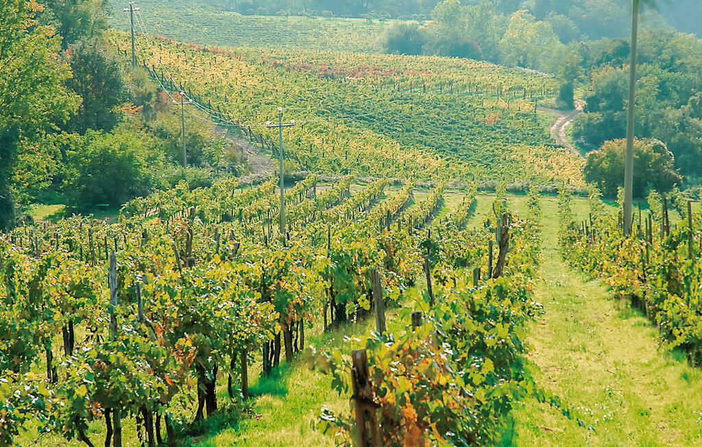 Ferienhaus - Dicomano , Italien - ITF194 8