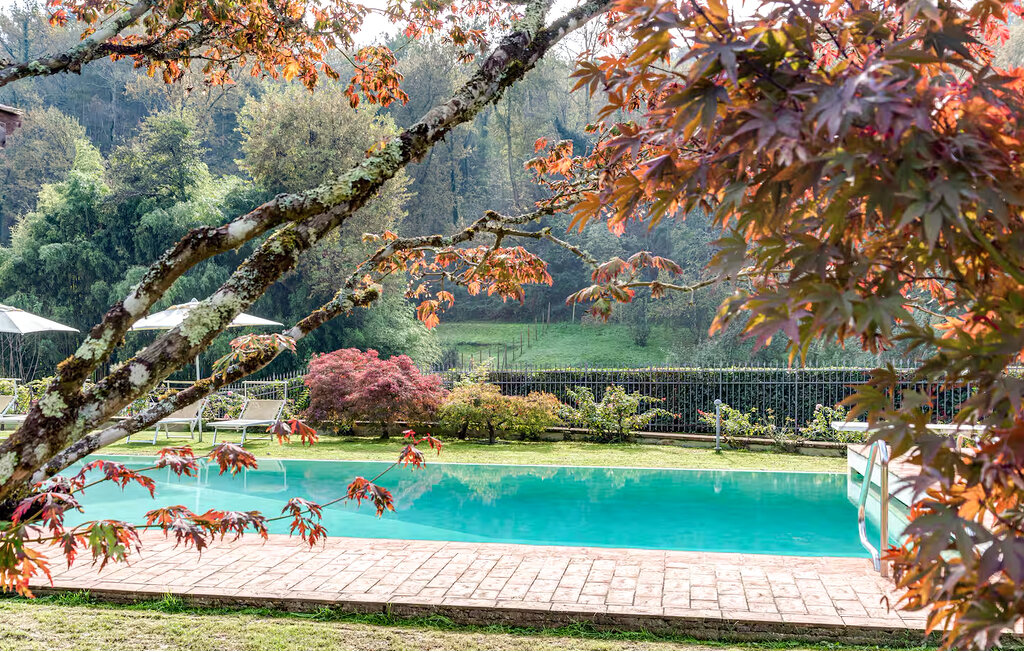 Domy wakacyjne - Firenze , Włochy - ITF168 14