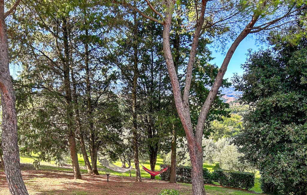 Ferienhaeuser - Certaldo , Italien - ITF362 18