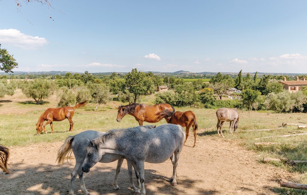 Ferienwohnung - Sovana , Italien - ITG515 19