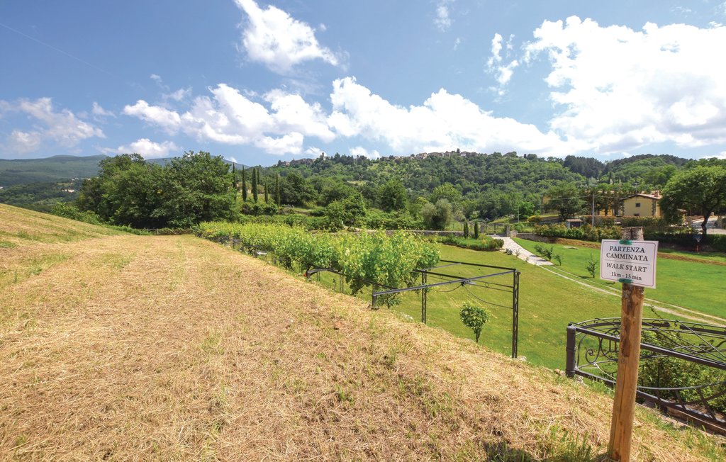 Location de vacances - Castel del Piano , Italie - ITG281 24