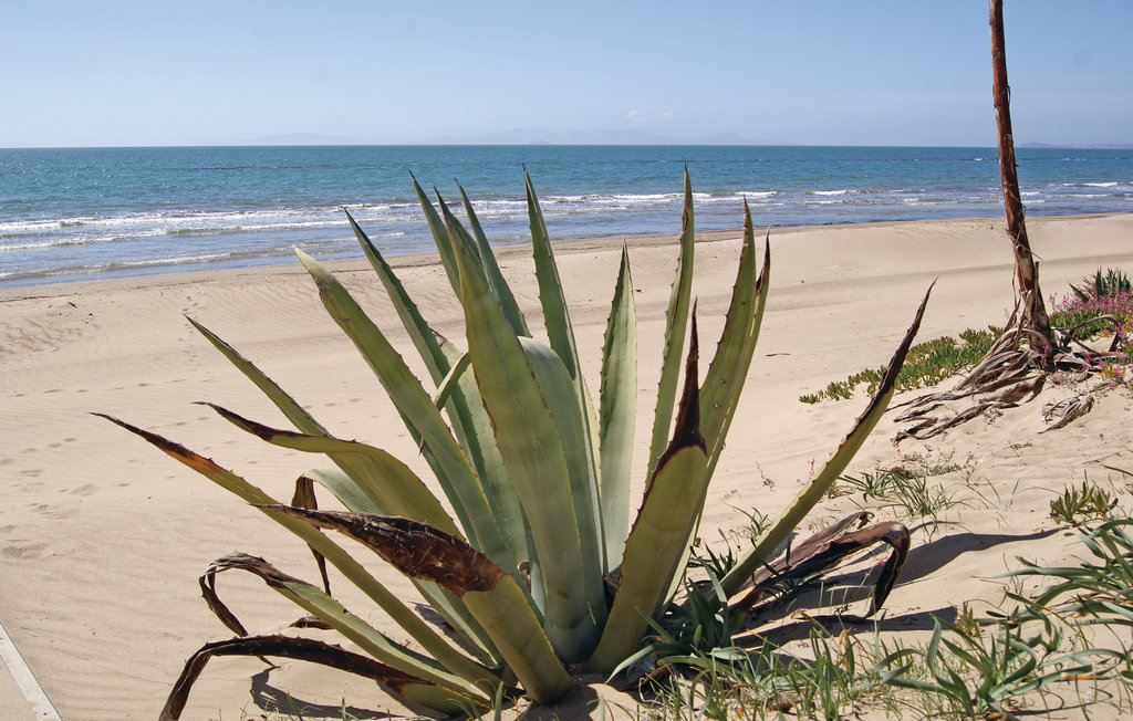 Feriehus - Gavorrano , Italia - ITG427 19