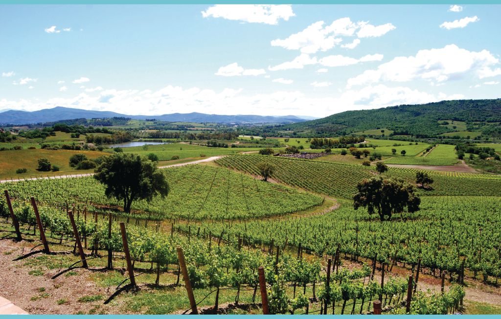 Feriehus - Roccastrada , Italia - ITG216 23