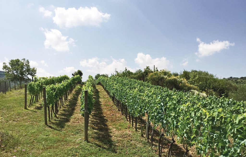 Location de vacances - Castel del Piano , Italie - ITG254 44