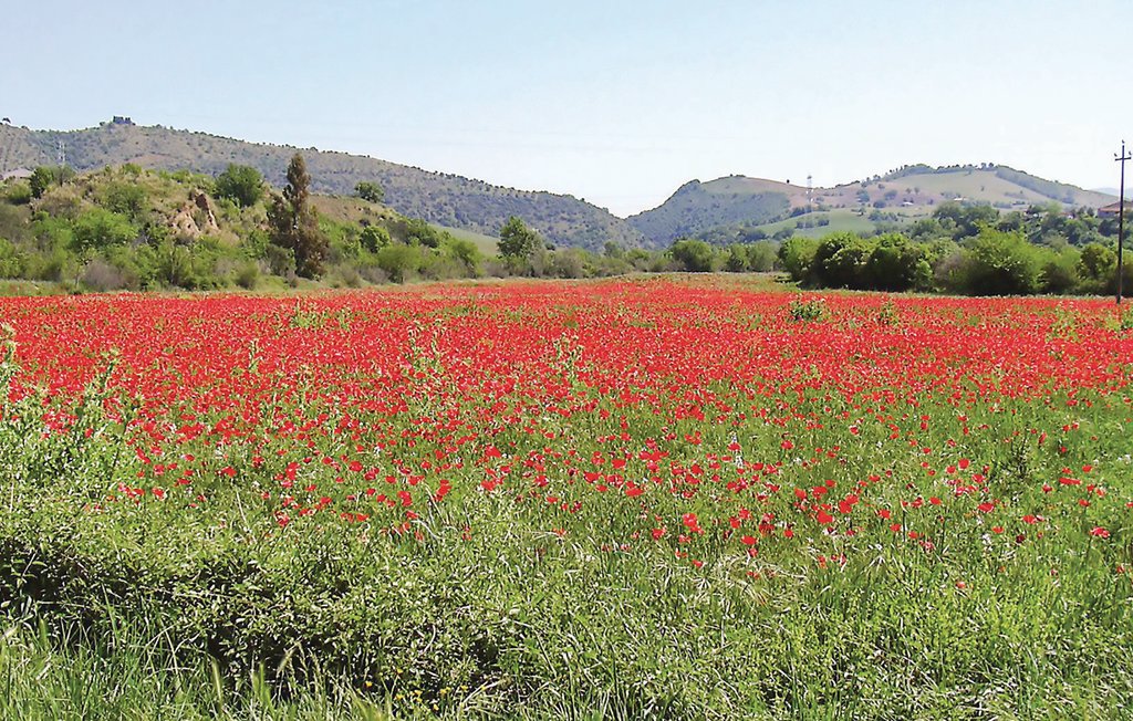 Semesterlägenhet - Cinigiano , Italien - ITG425 17