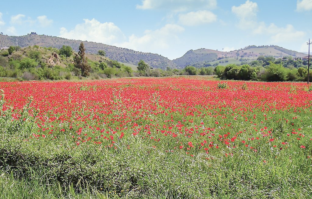 Lejlighed - Cinigiano , Italien - ITG439 17