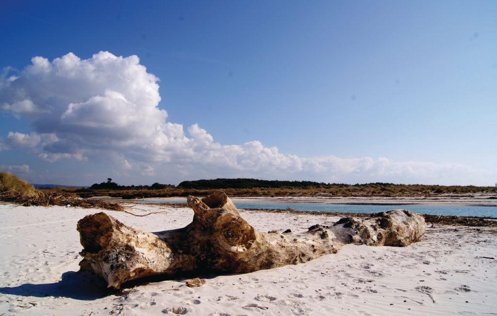 Semesterhus - Roselle , Italien - ITG235 27