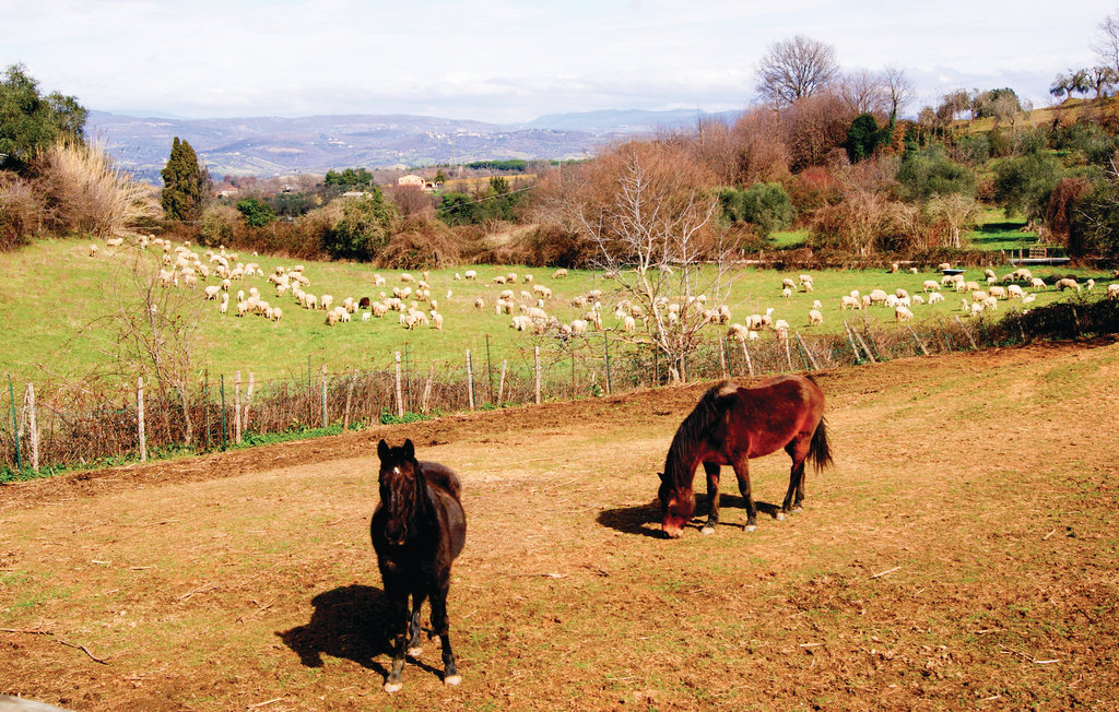 Ferienhaus - Massa Marittima , Italien - ITG432 38