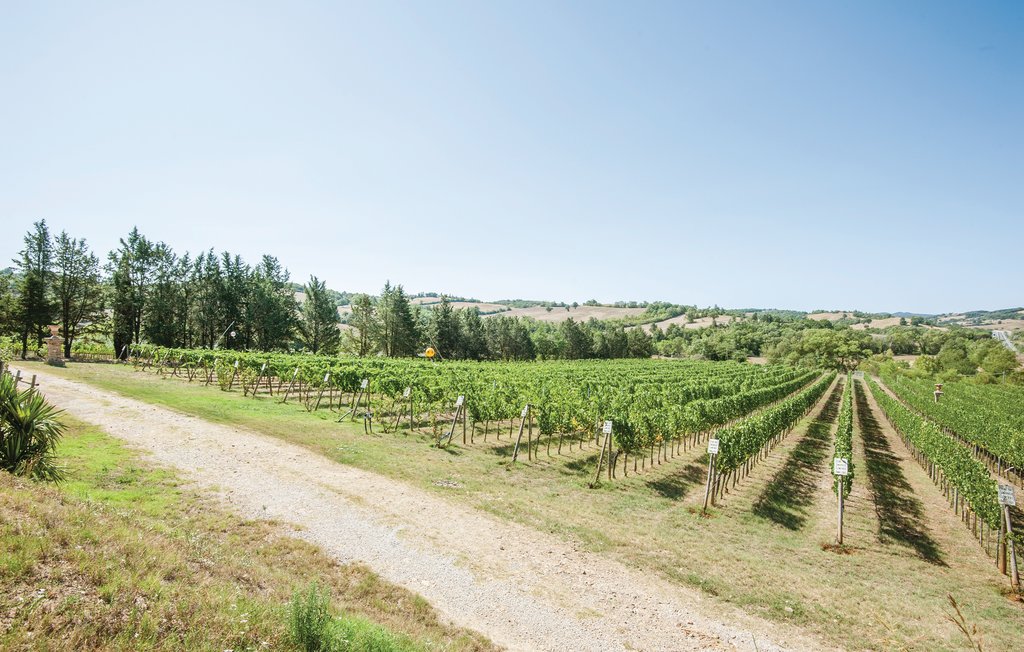 Feriehus - Paganico , Italia - ITG434 30