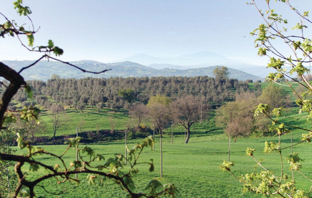 Semesterhus - Pitigliano , Italien - ITG424 23