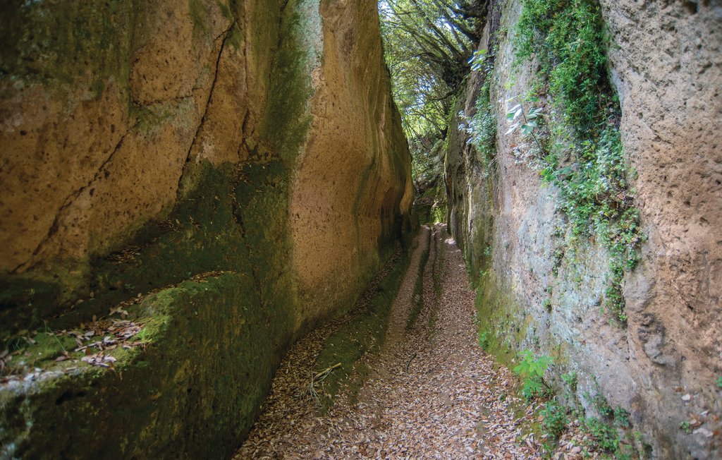 Feriehuse - Pitigliano , Italien - ITG476 18