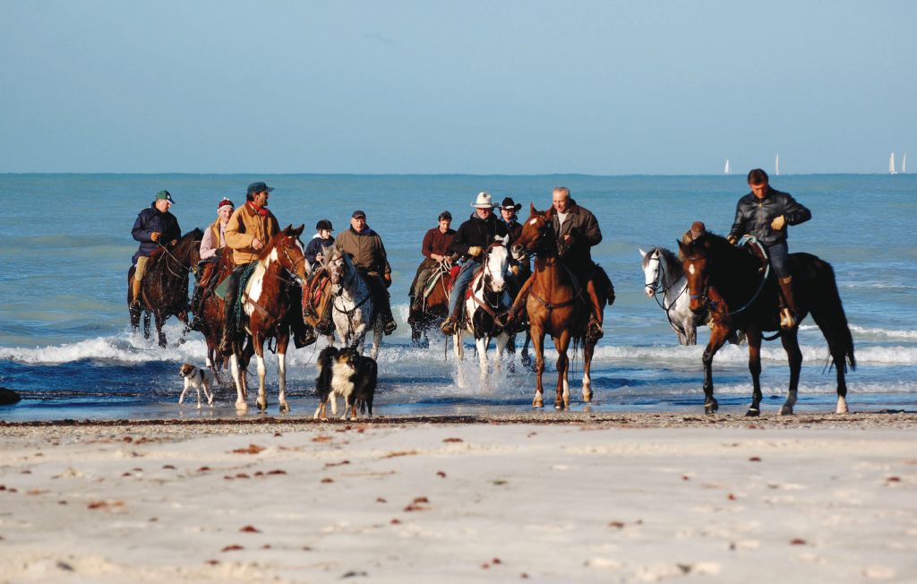 Semesterhus - Roselle , Italien - ITG235 28