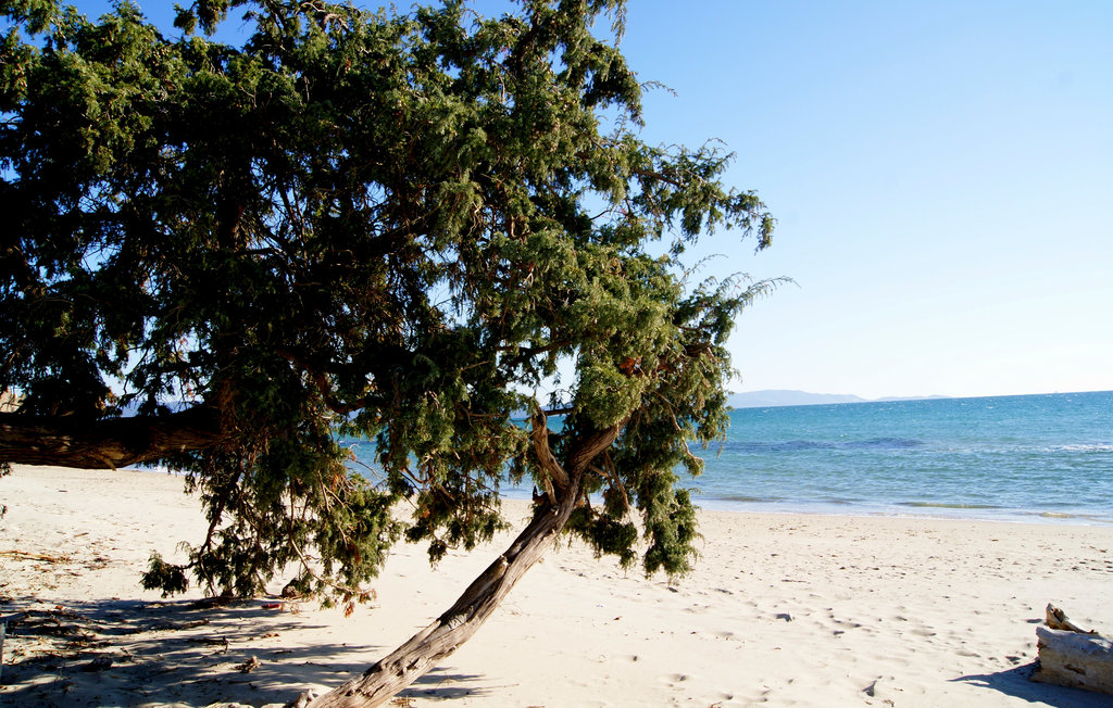 Ferienwohnung - Scansano , Italien - ITG287 15