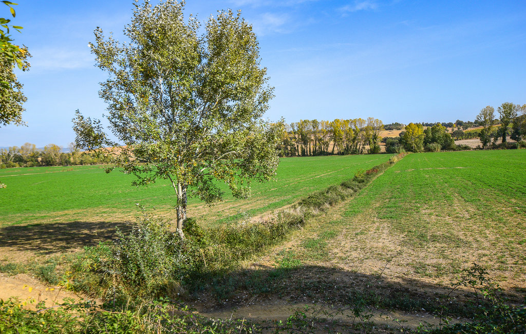 Feriehuse - Grosseto , Italien - ITG341 8