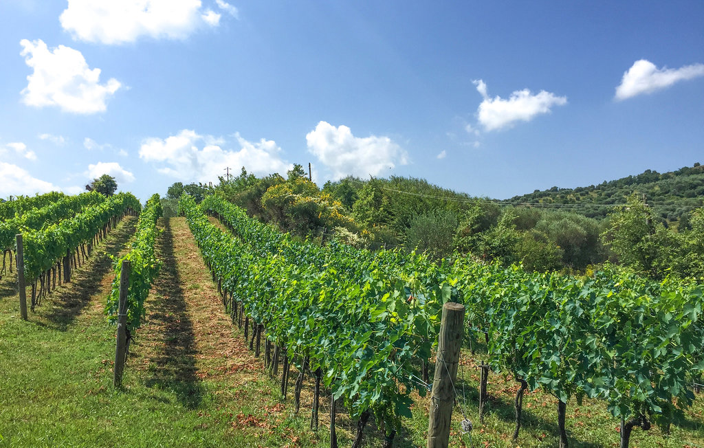 Ferienhaus - Arcidosso , Italien - ITG333 28