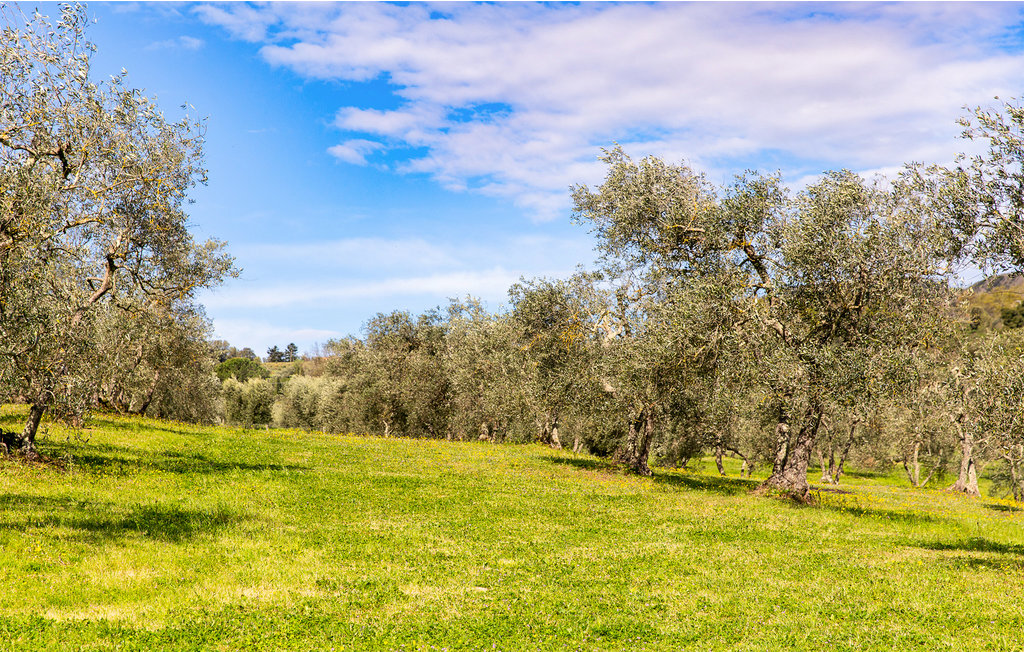 Feriehus - Roccastrada , Italia - ITG216 21