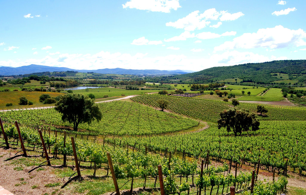 Ferienwohnung - Montenero d'Orcia , Italien - ITG001 5