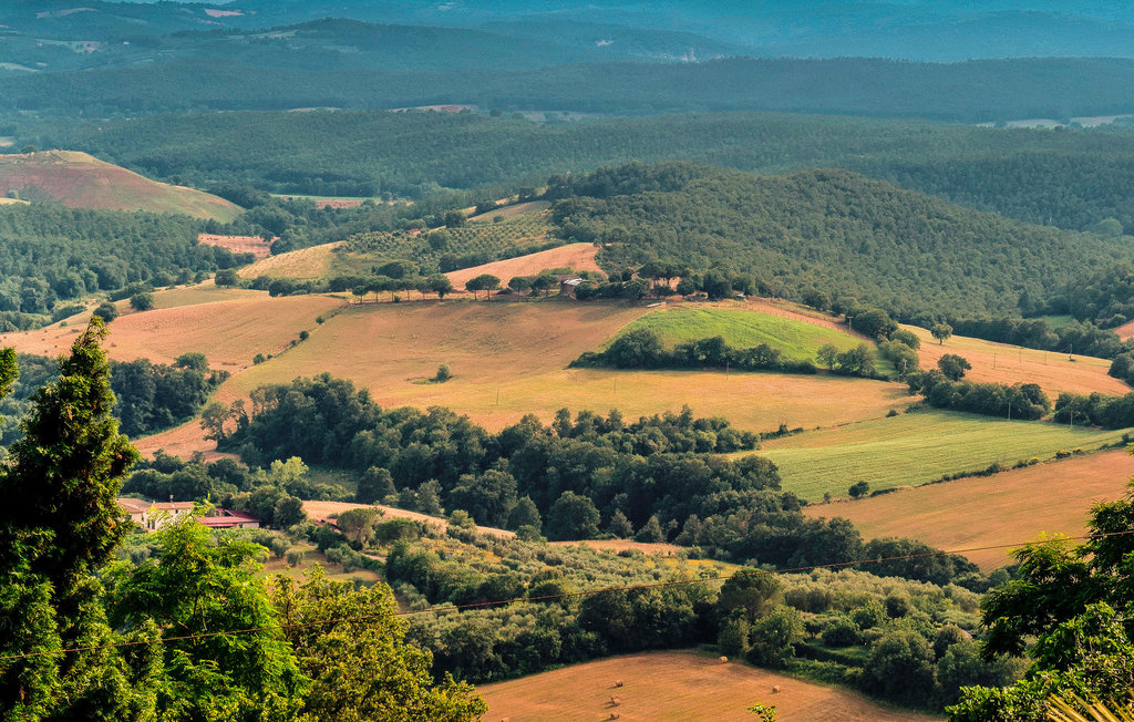 Ferienwohnung - Montenero d'Orcia , Italien - ITG001 19